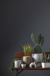 Elia Vase