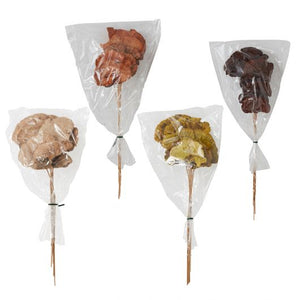 Dried Stems