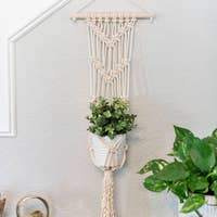 Macrame Wall Plant Hanger